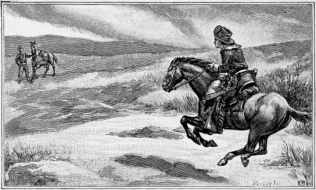 Pony Express